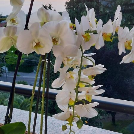 Alloggio Orchidea Monfalcone Zewnętrze zdjęcie