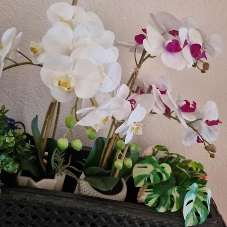 Alloggio Orchidea Monfalcone Zewnętrze zdjęcie