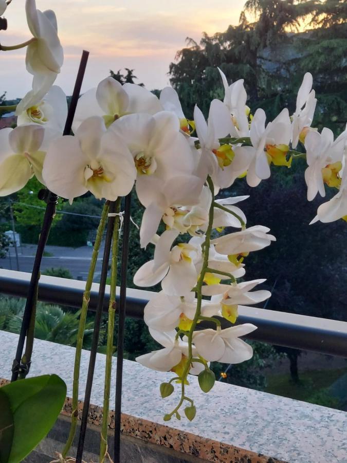 Alloggio Orchidea Monfalcone Zewnętrze zdjęcie