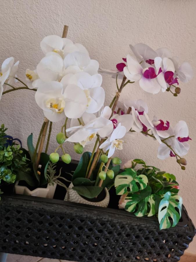 Alloggio Orchidea Monfalcone Zewnętrze zdjęcie